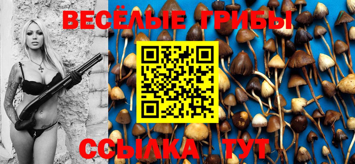 Галлюциногенные грибы мицелий Арсеньев