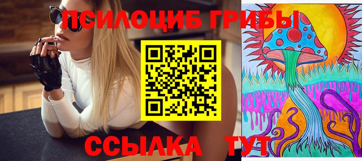 Арсеньев  Галлюциногенные грибы ЛСД  Вход с VPN 